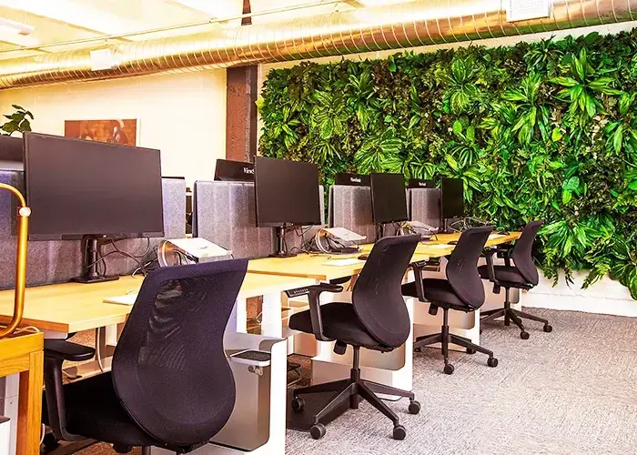 Flexible Office Spaces for Coworking Community in Noida